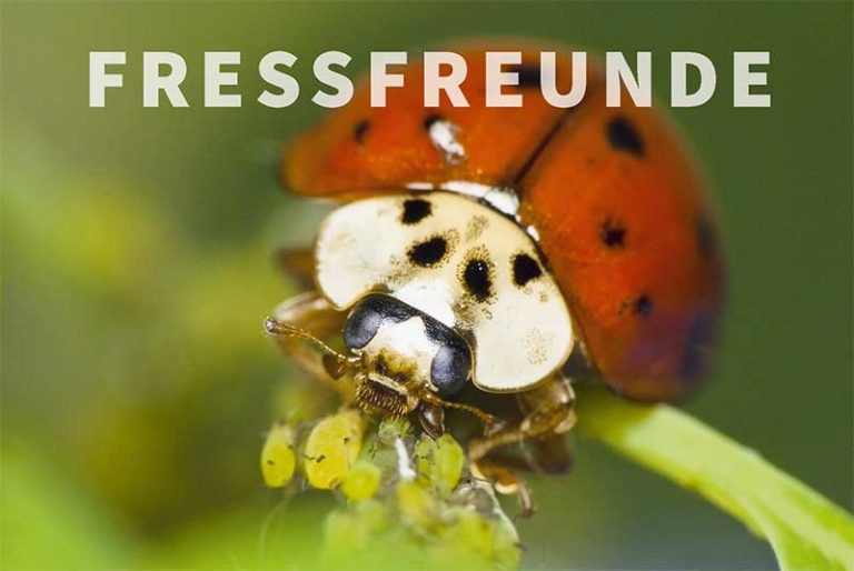 Fressfreunde